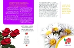 Brochure-7 Back