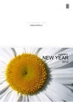 New-Year-02 Outside