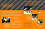 Brochure-9 Back
