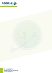 Letterhead-16