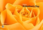 valentine-day-02 Outside