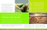 Brochure-13 Back