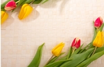 My-Flowers-Posters