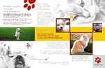 Brochure-22 Back