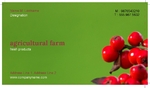 cranberry-bush Front