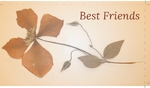 dry-flower Front