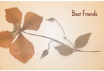 best-friends-postcard-5 FrontSide