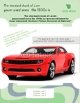 Flyer-12