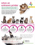 Flyer-24