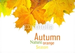 greeting-card-20 Outside