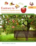 Flyer-48
