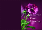 greeting-card-25 Outside