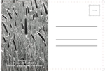 agriculture-postcard-5 BackSide
