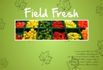 agriculture-postcard-7 FrontSide