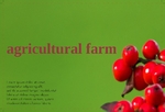agriculture-postcard-8 FrontSide