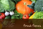 agriculture-postcard-10 FrontSide