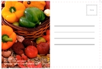 agriculture-postcard-10 BackSide