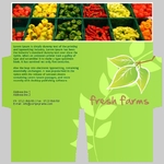 mini-presentation-folder-26