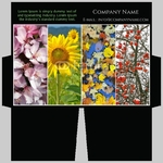 mini-presentation-folder-41