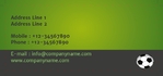 skinny-business-cards-14 Back