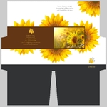 mini-presentation-folder-47
