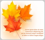 mouse-pad-11