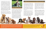 Brochure-18 Back