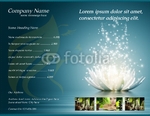 Flyer-52
