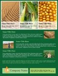 Flyer-63