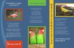 Brochure-32 Back