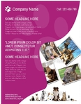 Flyer-71