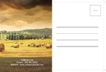 postcard-137 BackSide