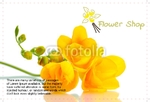 postcard-622 FrontSide
