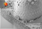 postcard-646 FrontSide
