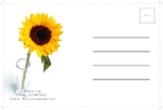 postcard-689 BackSide