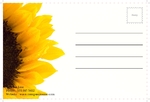 postcard-703 BackSide