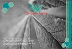 postcard-739 FrontSide