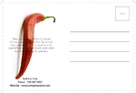 postcard-771 BackSide