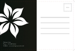 postcard-828 BackSide