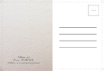 postcard-845 BackSide