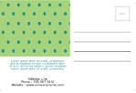 postcard-975 BackSide