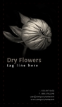 Vama Flowers Front