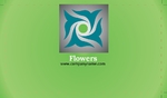 Bloomworks Back