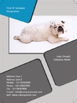 My Pet