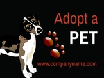 Adopted Pet