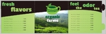 Organic Farms