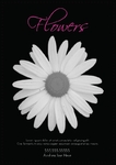 White Flower