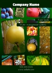 Fresh Seeds