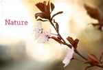 Nature Feelings FrontSide