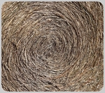 3D Wood